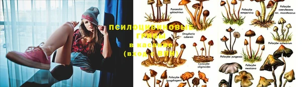 гашишное масло Аркадак