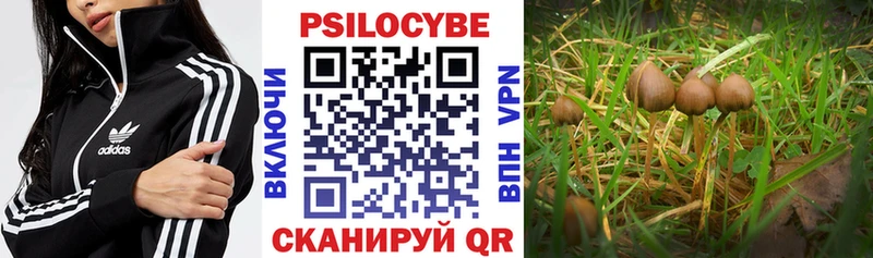 Галлюциногенные грибы MAGIC MUSHROOMS  Ревда 